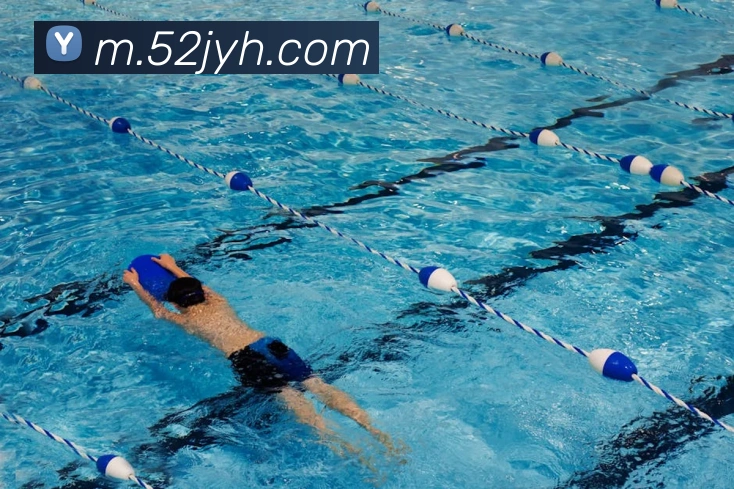 九游会j9平台生态图